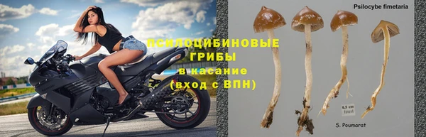 ГАЛЛЮЦИНОГЕННЫЕ ГРИБЫ Балахна