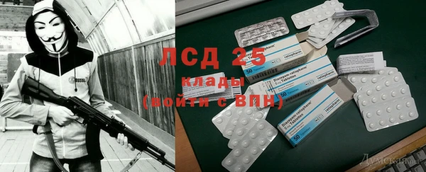 ГАЛЛЮЦИНОГЕННЫЕ ГРИБЫ Балахна